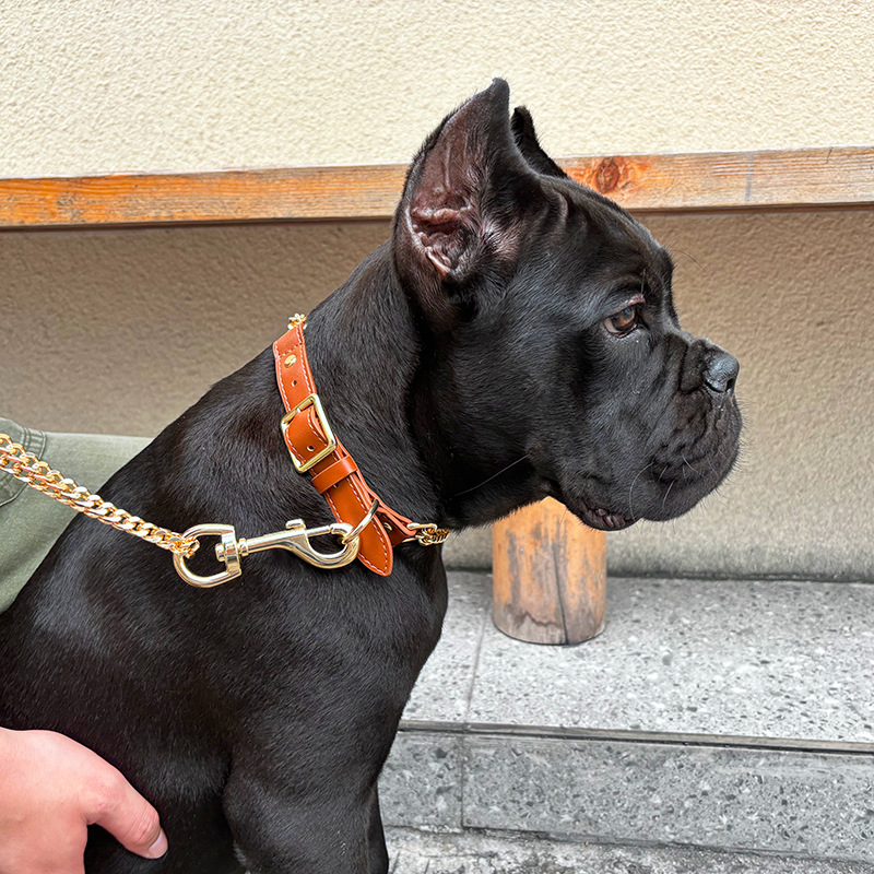 Loudik Wholesale Pet Collar Le - Leather Strap Quick Release recension och pris